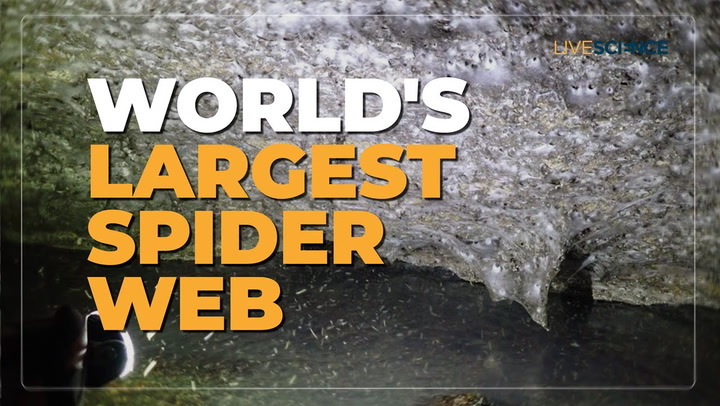 Video thumbnail for World's biggest spiderweb discovered inside 'Sulfur Cave'