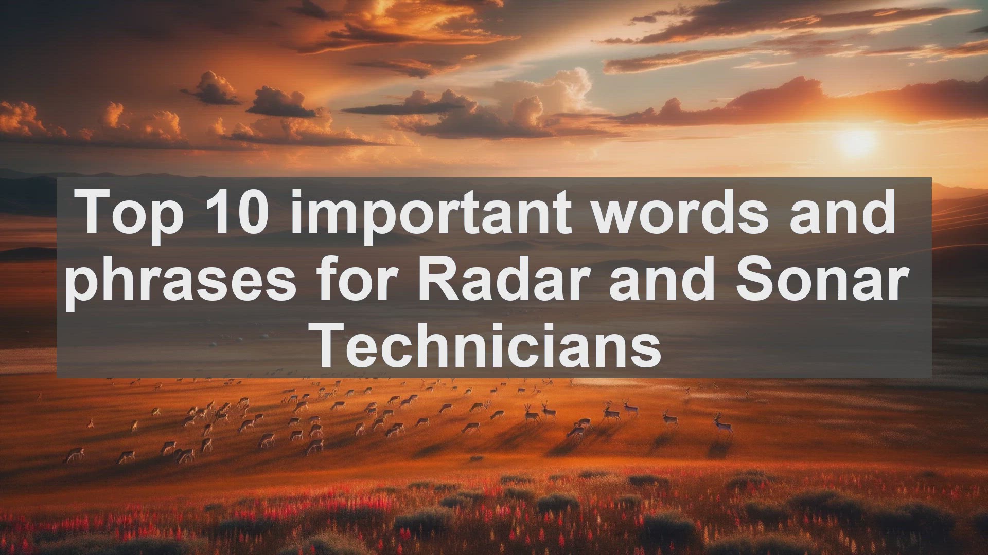 'Video thumbnail for Top 10 important words and phrases for Radar and Sonar Technicians'