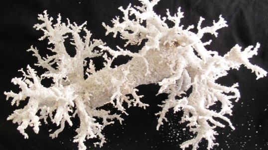 Video thumbnail for Lightning Strikes Sand, Forming Fulgurites; Spot Them on Beaches