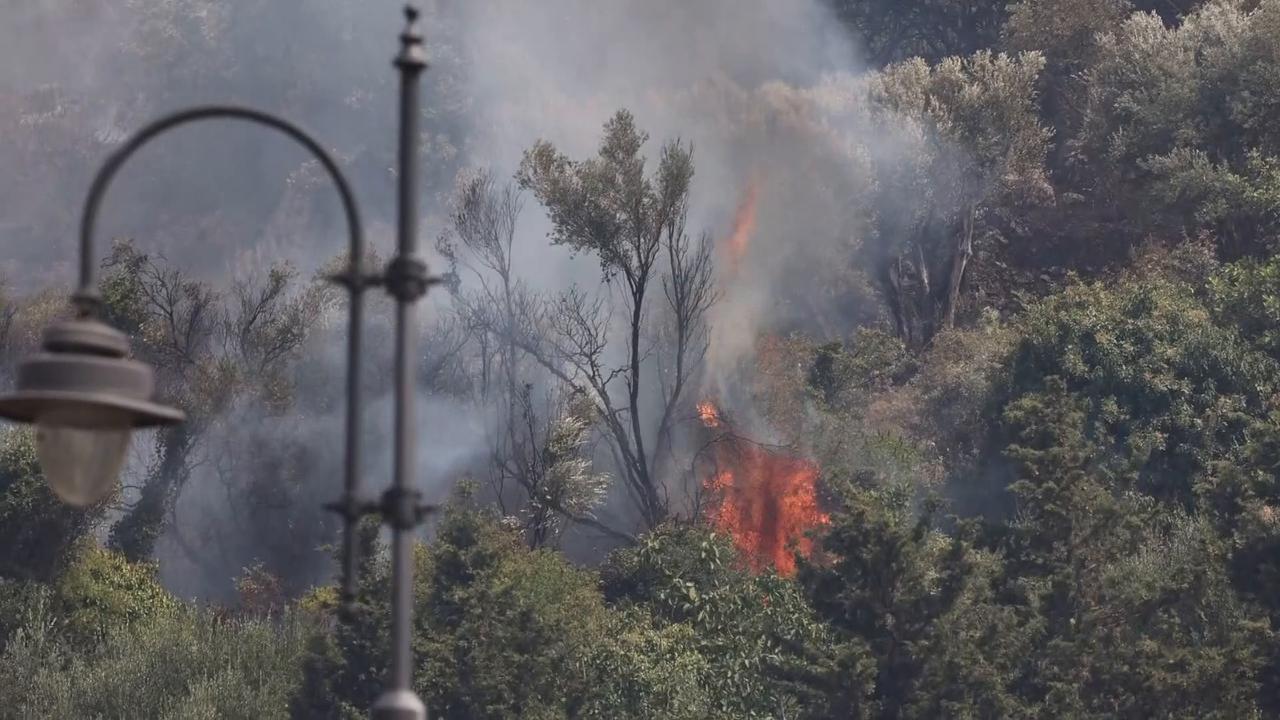 Video thumbnail for Italy: Firefighters battle wildfire near Italy's Palermo.