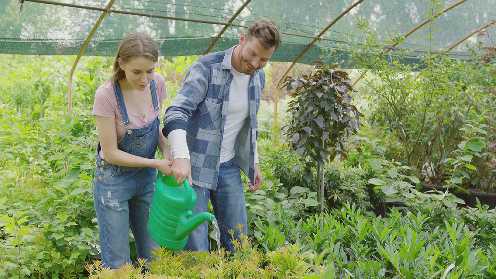 'Video thumbnail for How to Grow ZZ Plant in Your House'