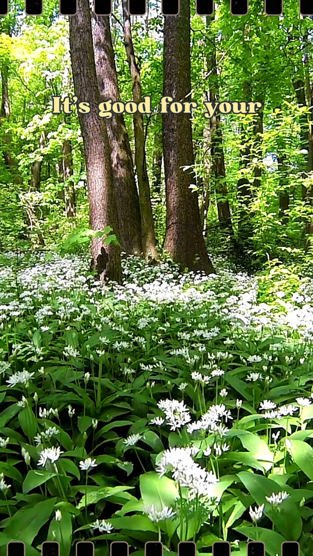 Video thumbnail for 7 Powerful Reasons to Take a Walk in the Woods