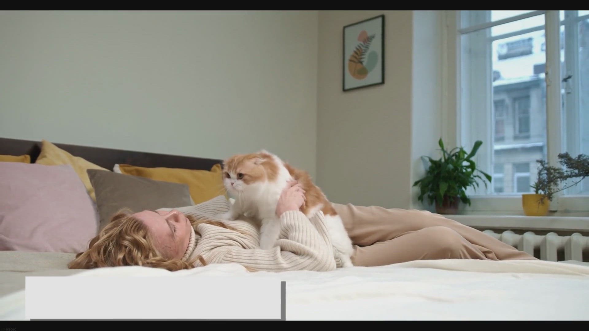 'Video thumbnail for The Lifespan of Ragdoll Cats: How to Ensure a Long Life'