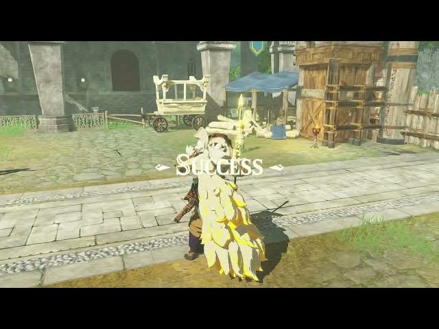 Video thumbnail for Hyrule Warriors: Age of Imprisonment - The Art of The Blade: Defeat Goron Chief Agraston Gameplay