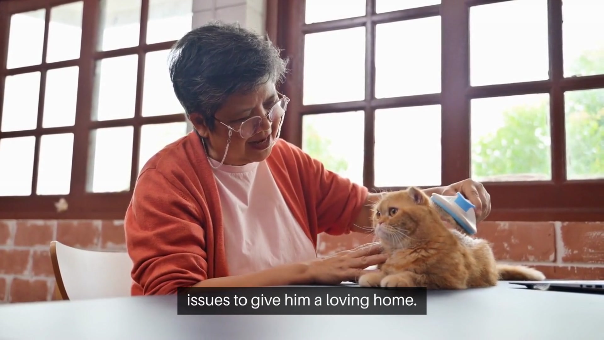 Video thumbnail for Adopting a Pet The Right Decision