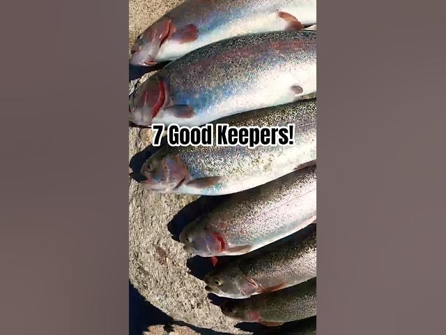 Video thumbnail for Solid Finish to Our Fishing Day