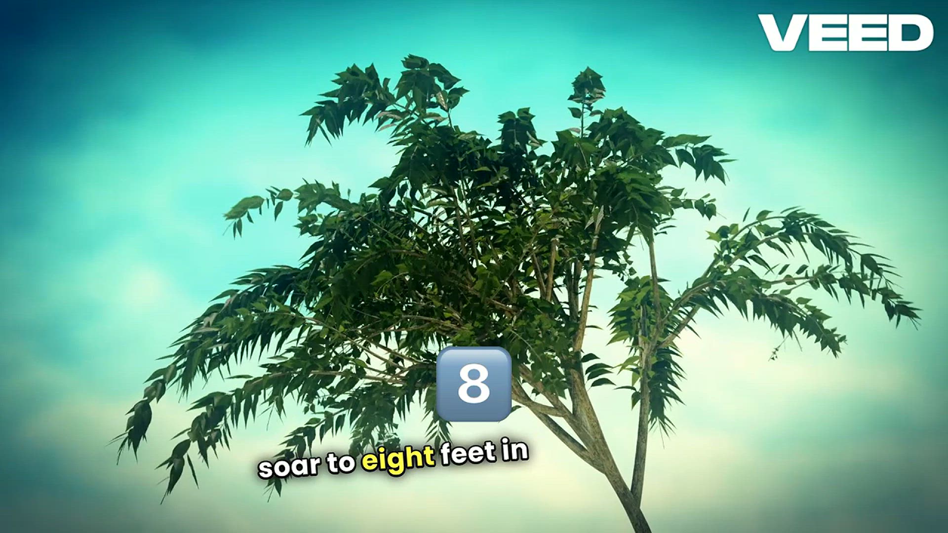 'Video thumbnail for Transform Your Yard with Fast Trees'
