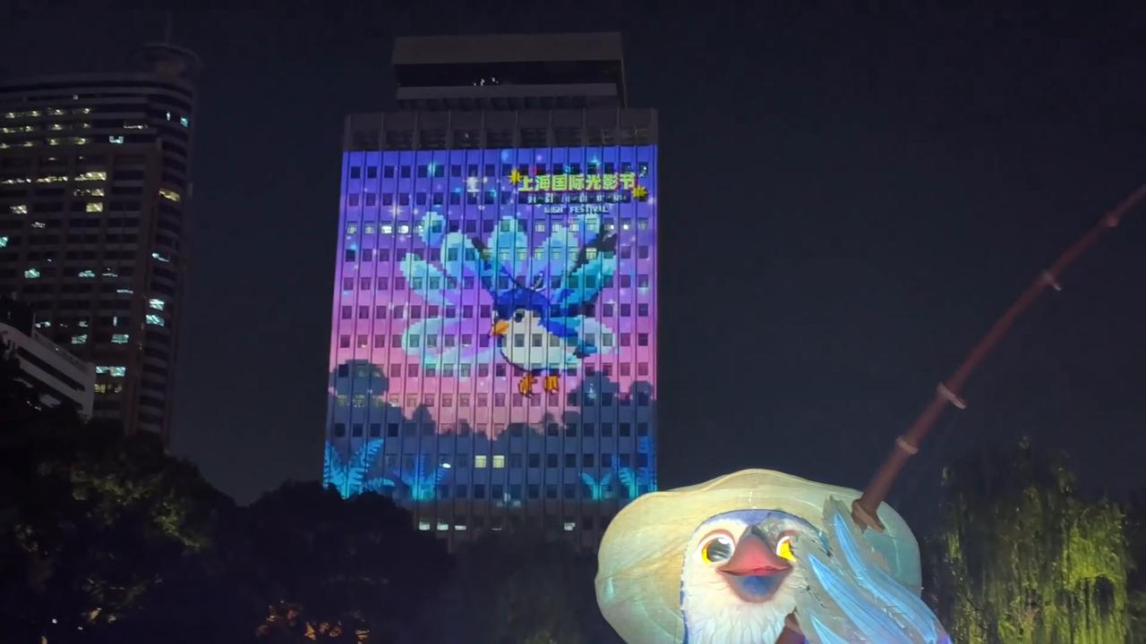 Video thumbnail for China: Shanghai International Light Festival 6.