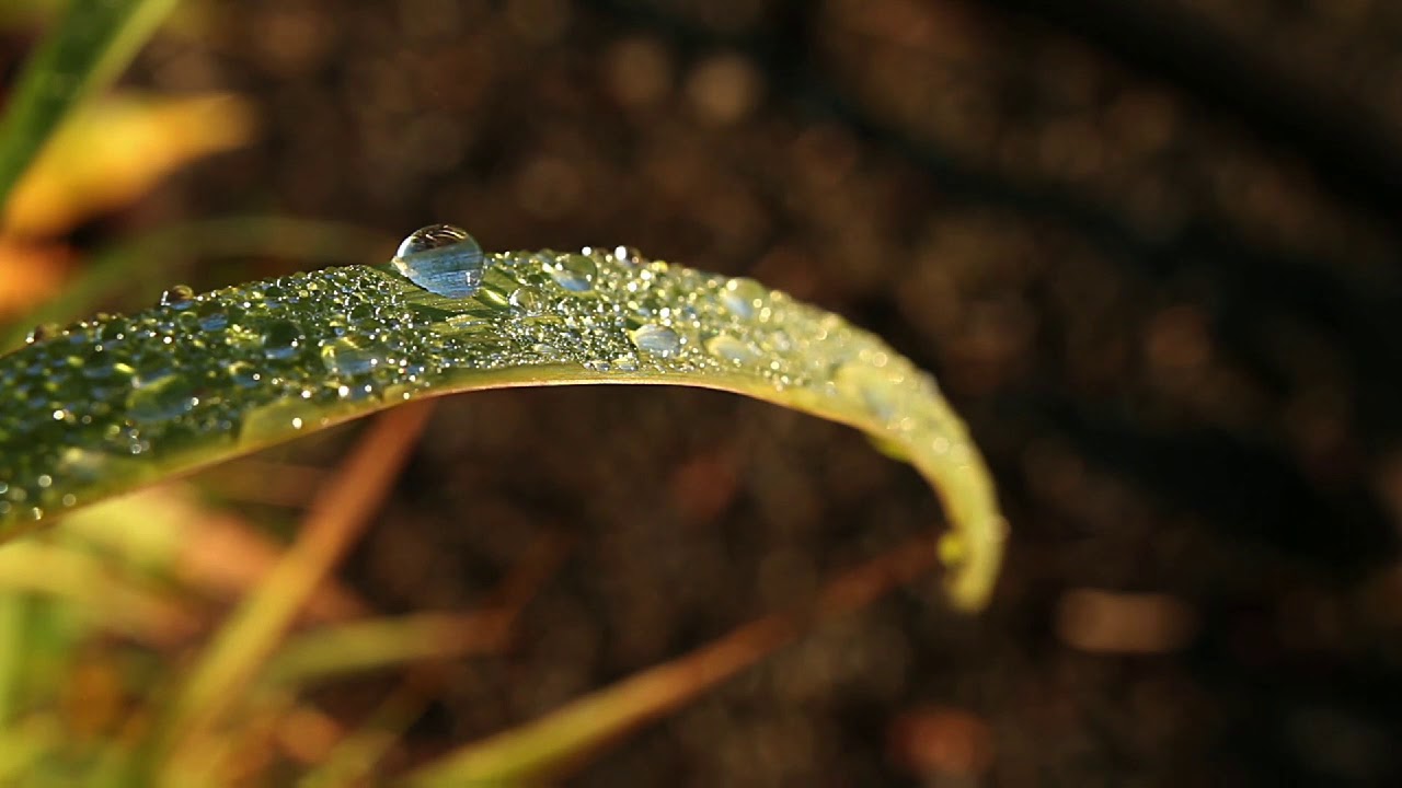 Video thumbnail for Raining