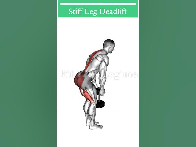 Video thumbnail for 5 Best Dumbbell Leg Exercises for Strength & Size