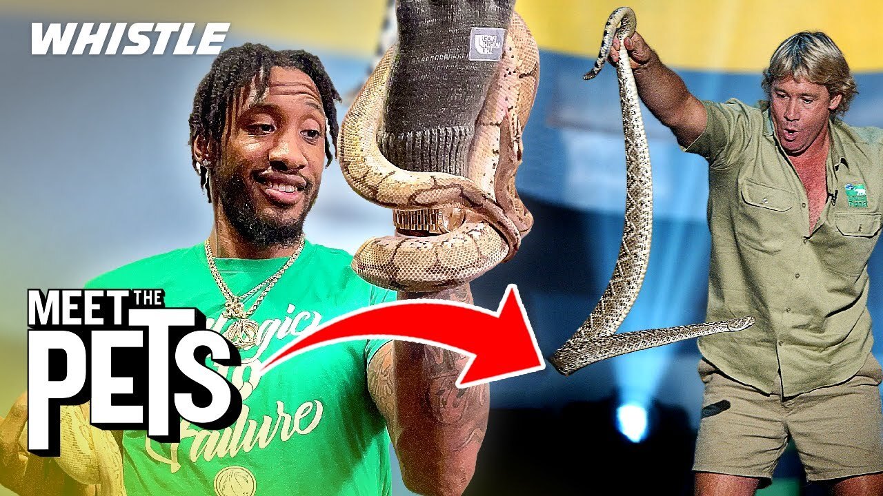 Video thumbnail for How Robert Covington Became The NBA’s Steve Irwin