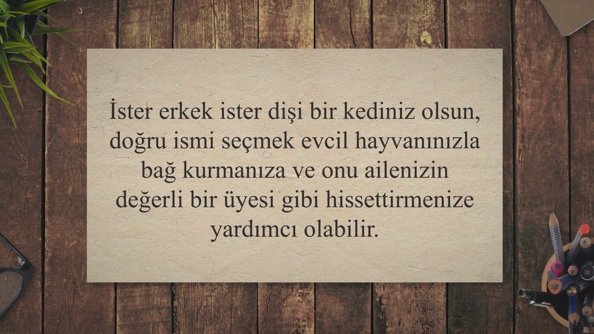 Video thumbnail for Choosing the Right Name for Your Feline Friends: Exploring Male and Female Cat Names