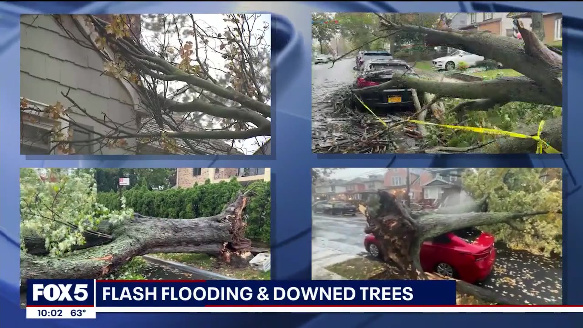 'Video thumbnail for Flash flooding and downed trees after NYC severe rainfall'