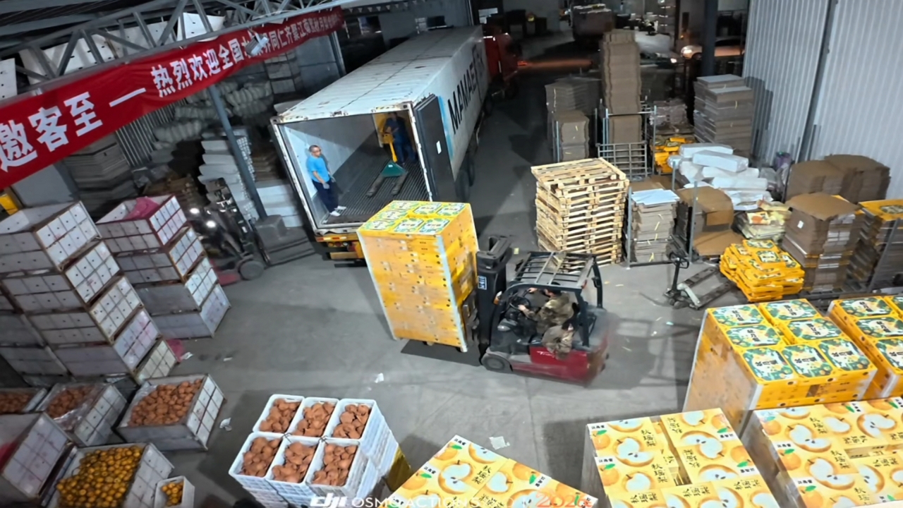 Video thumbnail for Boxes Fall from Forklift During Loading in Shandong Warehouse