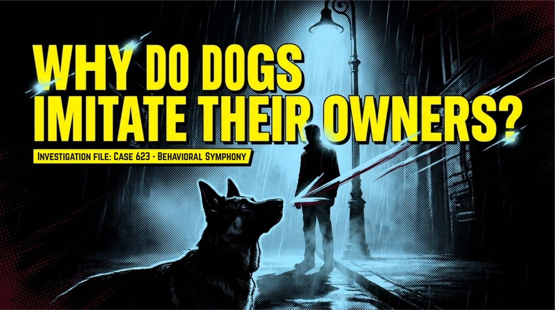 Video thumbnail for Why Dogs Imitate Us?
