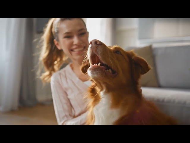 Video thumbnail for 12 Signs Your Dog Loves You and What Imprinting Really Means