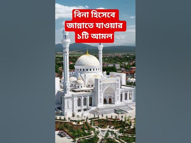 Video thumbnail for বিনা হিসেবে জান্নাতে যাওয়ার ১টি আমল#shorts #viral#sheikh_ahmadullah#islamicalortips