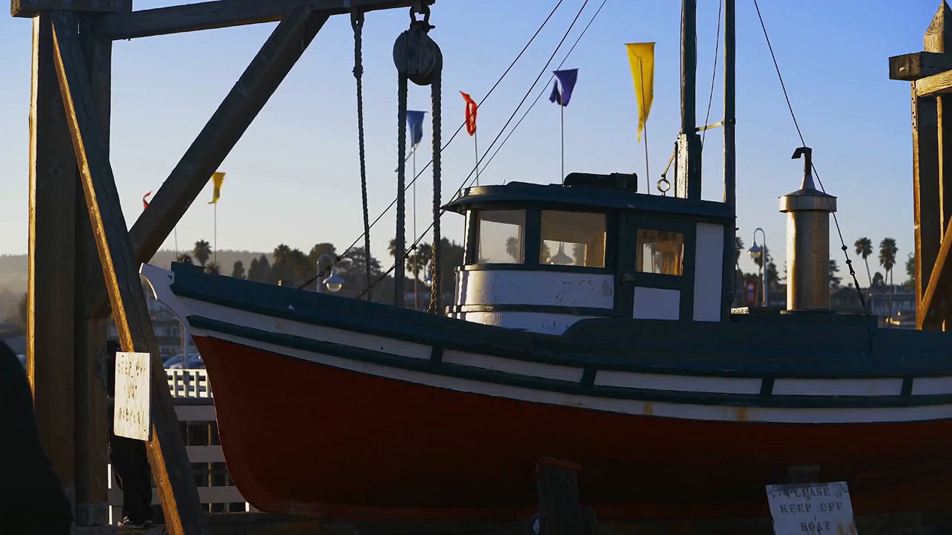 'Video thumbnail for Paul Hogan's Latest Revelation About the Santa Cruz Wharf Collapse!'