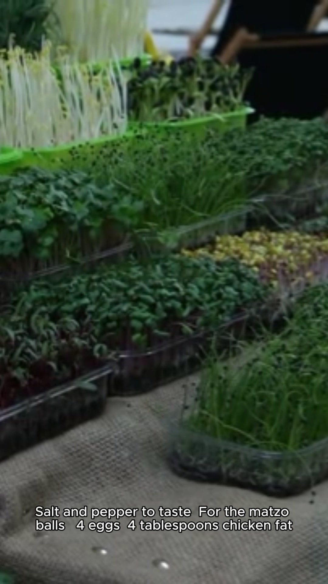 Video thumbnail for matzo ball soup recipe