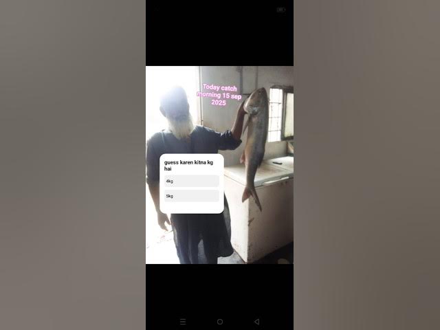 Video thumbnail for hamaliya fishing today report 15 sep 2025 #music ,#fishing