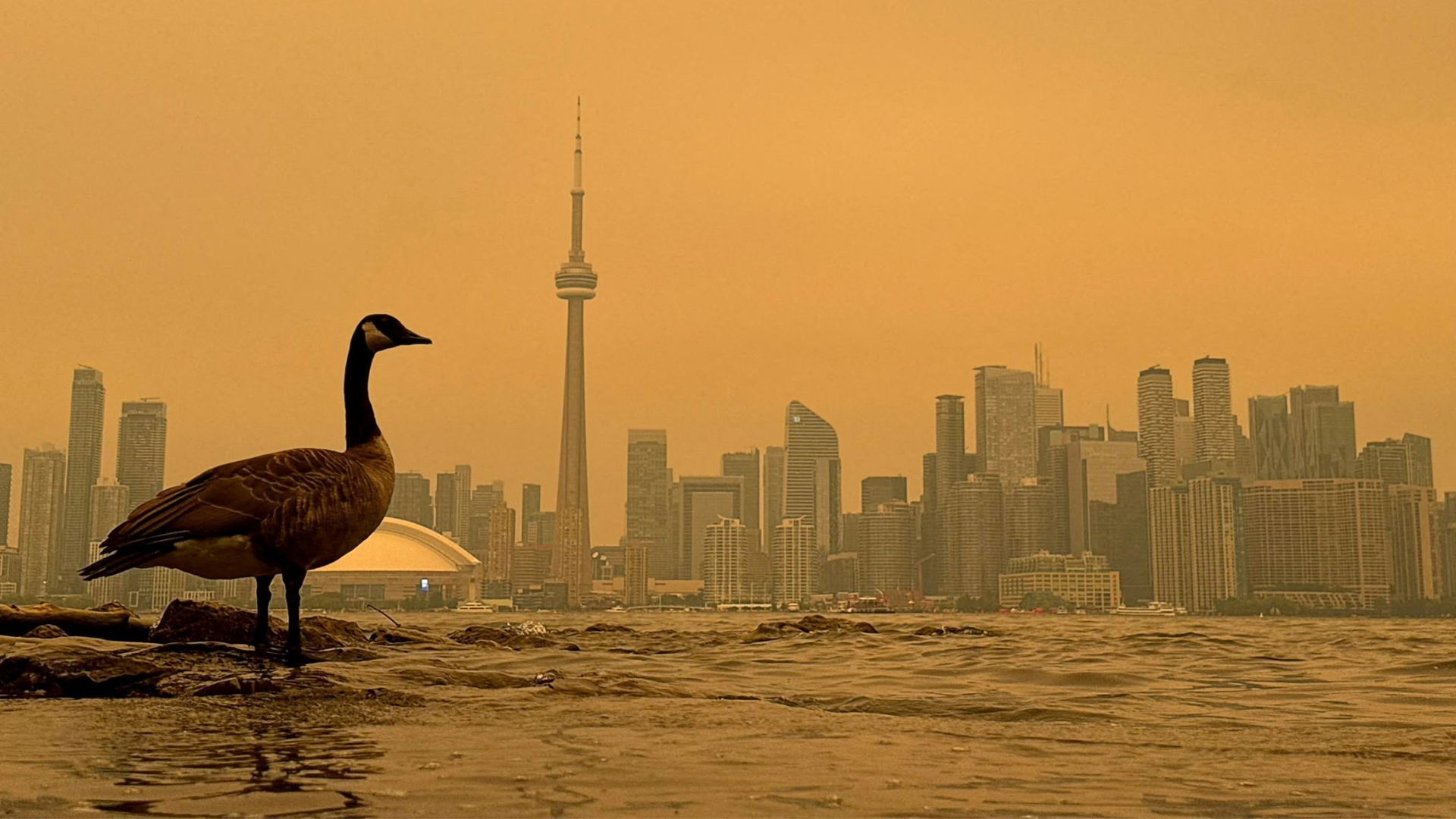 Video thumbnail for Canada wildfires leave Toronto with worst air quality among major cities