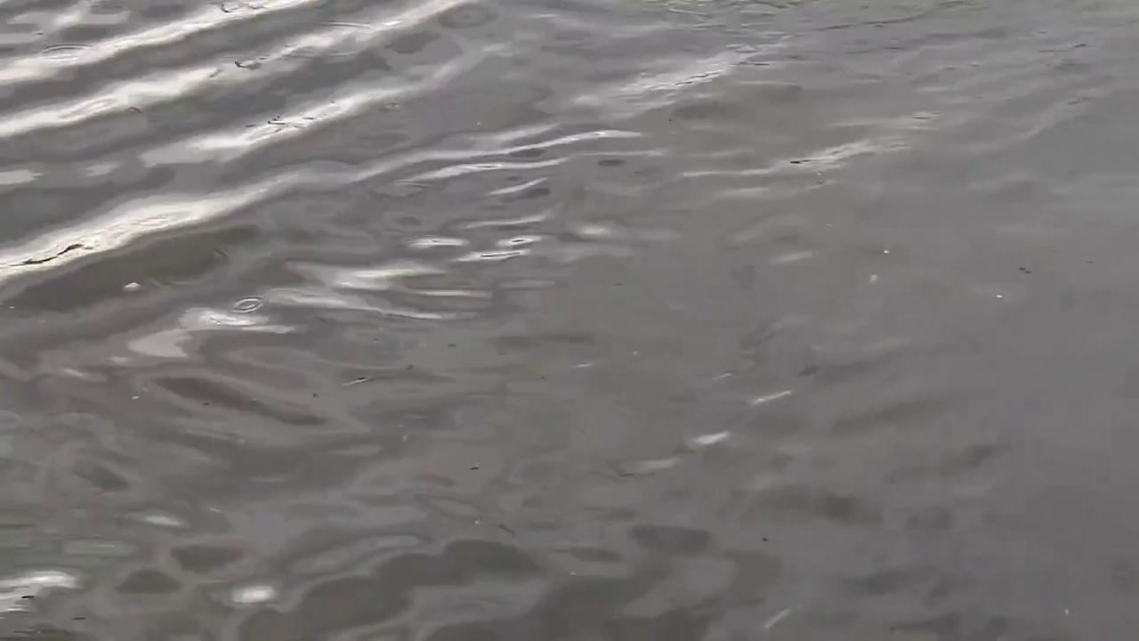 Video thumbnail for US: Flash Flooding Hits Kentucky as Severe Storms Sweep Through.