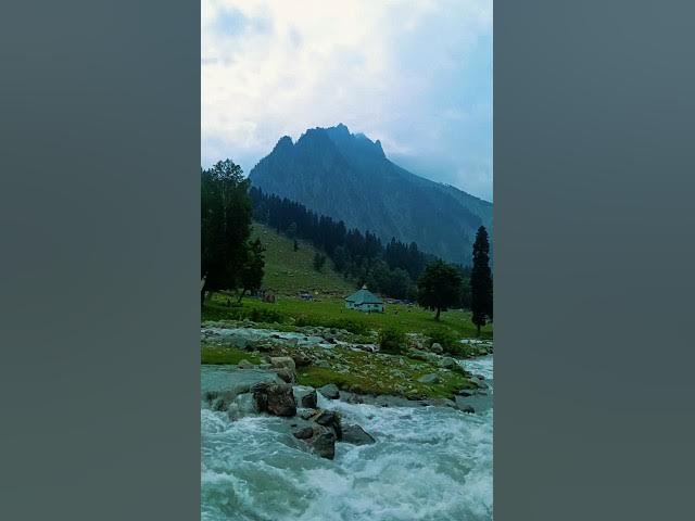 Video thumbnail for Friends don't let friends do silly things alone."#youtube, #youtuber, #youtubechannel #youtubeshorts