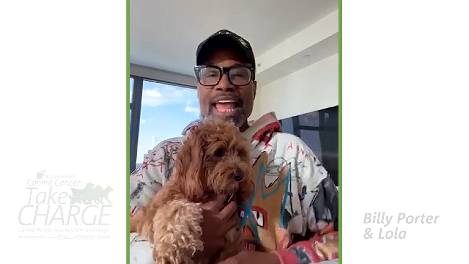 Video thumbnail for Billy Porter, Andy Karl, Orfeh, and More Debut 'It Had to Be You' to Raise Awareness About Canines With Cancer