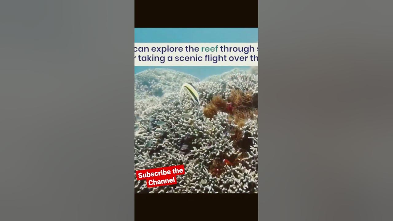 Video thumbnail for Uncover the Extraordinary Beauty of Australia: A Must-Watch #shortvideo