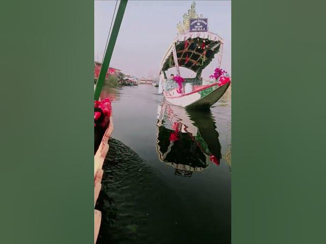 Video thumbnail for #Jammu कश्मीर# Srinagar #Lotus #Garden