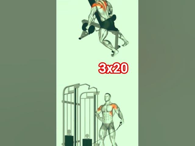 Video thumbnail for #aerobic #motivation #body_building #fitness #sports #shoulder #personaltrainer #exercises #الاجسام