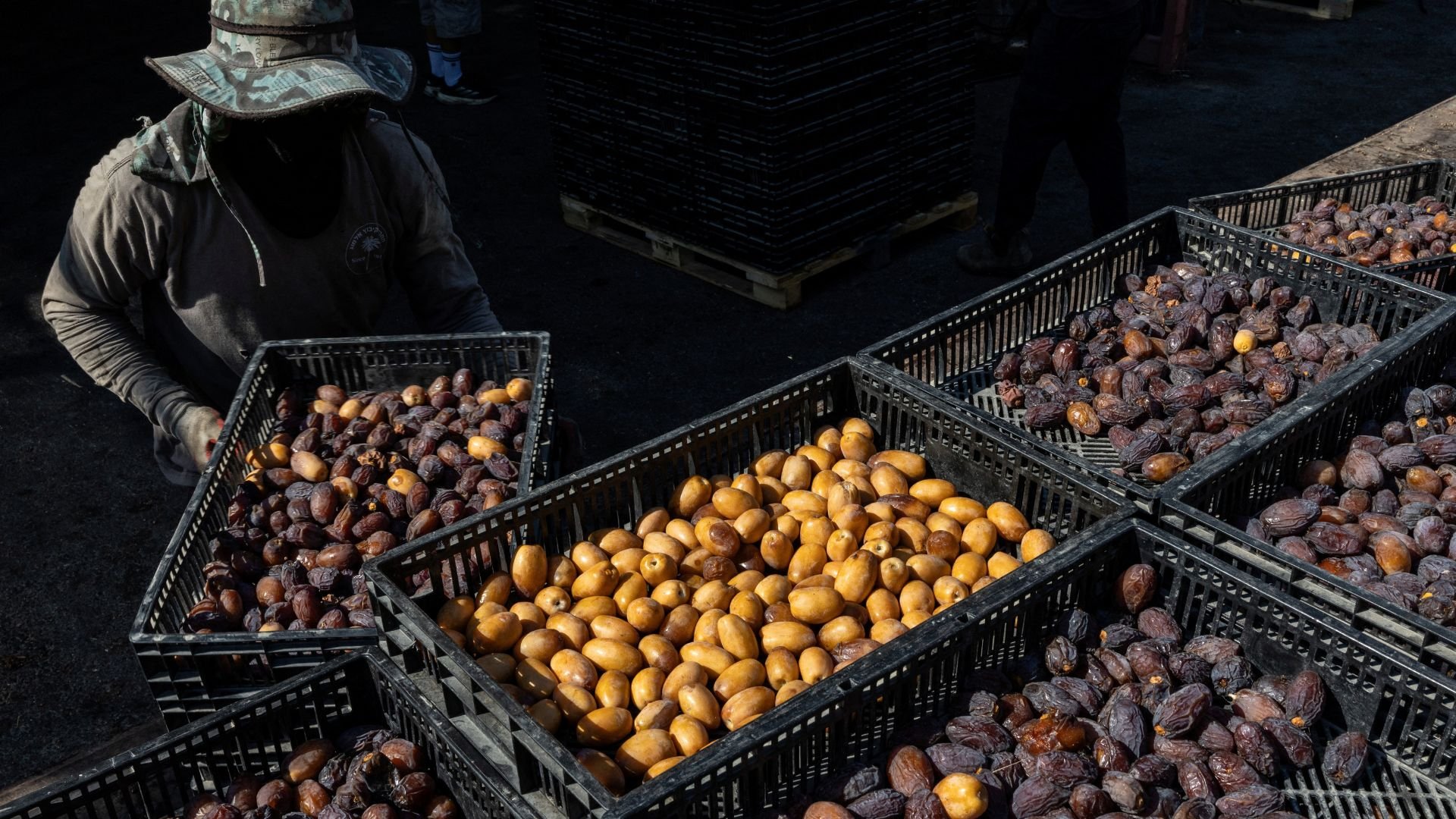 Video thumbnail for Why Dutch ban on illegal Israeli settlement goods may be hard to enforce