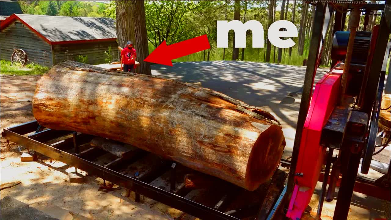 Video thumbnail for Matthew Cremona: The Biggest Ash Tree I've Cut Yet...