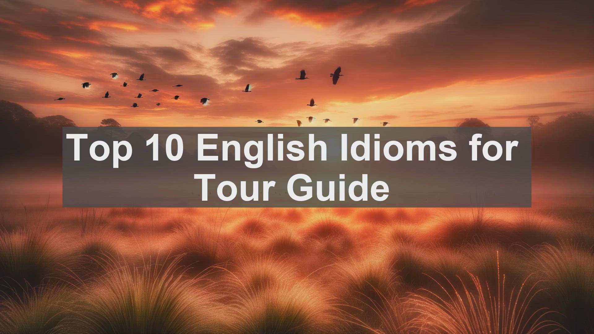'Video thumbnail for Top 10 English Idioms for Tour Guide'
