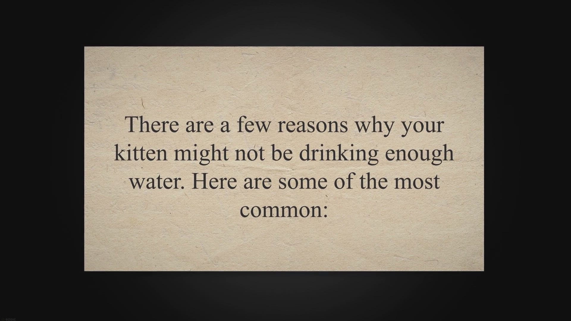 Video thumbnail for Why Your Kitten Won't Drink Water and How to Solve It!