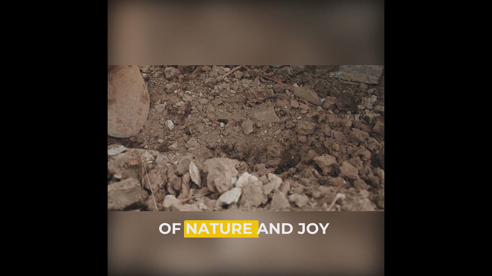 Video thumbnail for gardening ideas