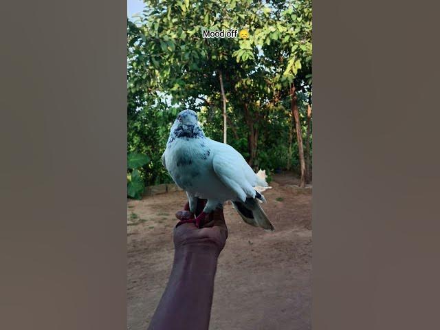 Video thumbnail for September 18, 2025