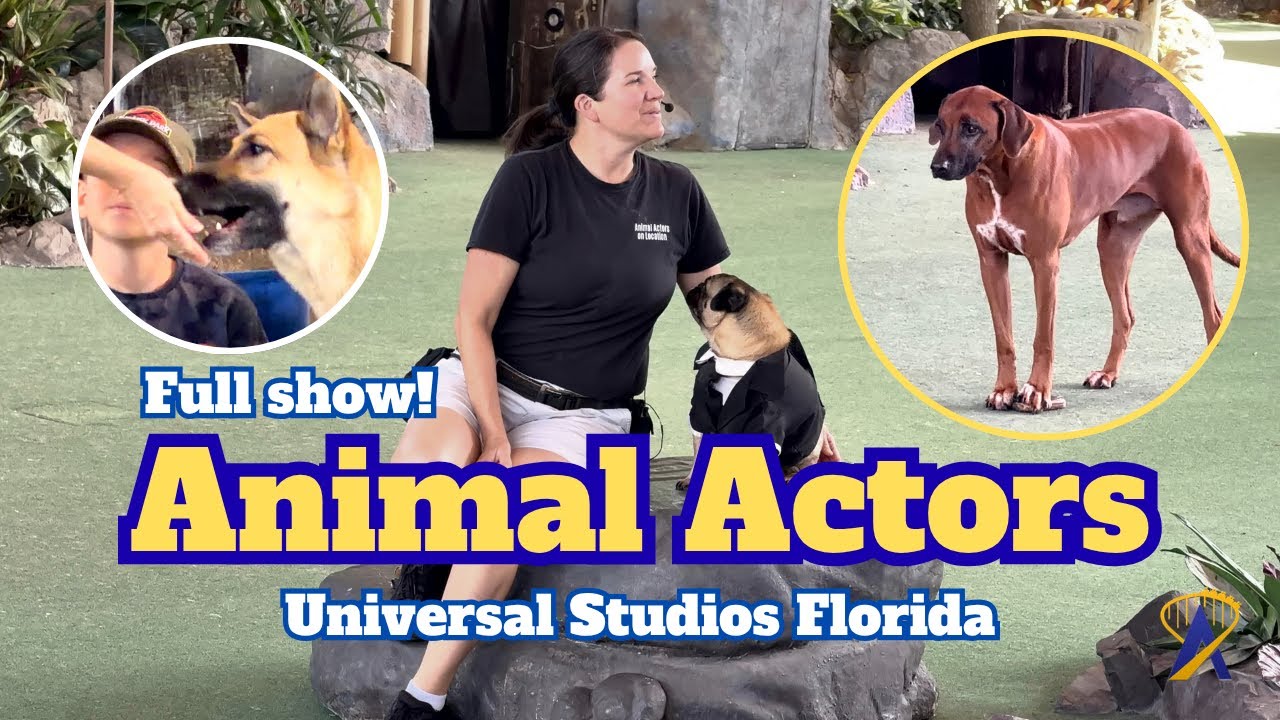 Video thumbnail for Full Animal Actors On Location Show at Universal Studios!