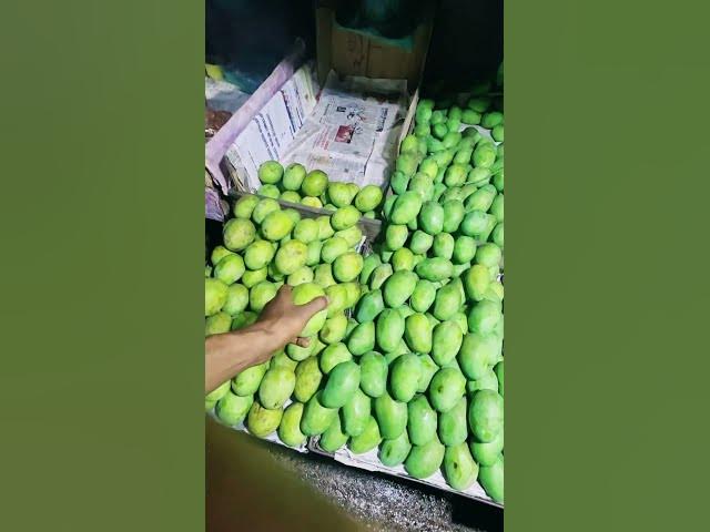 Video thumbnail for বাজারে গাছপাকা আম ওঠা শুরু হয়েছে