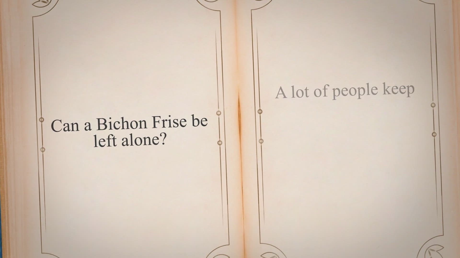 Video thumbnail for Can a Bichon Frise be left alone?