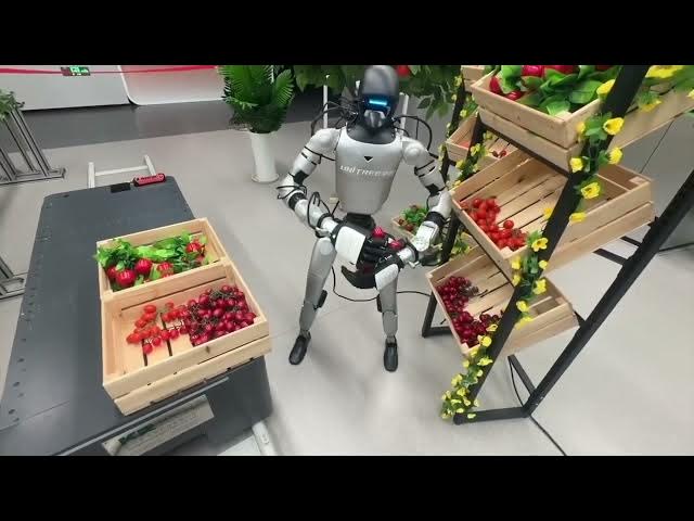 Video thumbnail for Inside unitree Robotics Humanoid Robots Dogs Embodied Ai