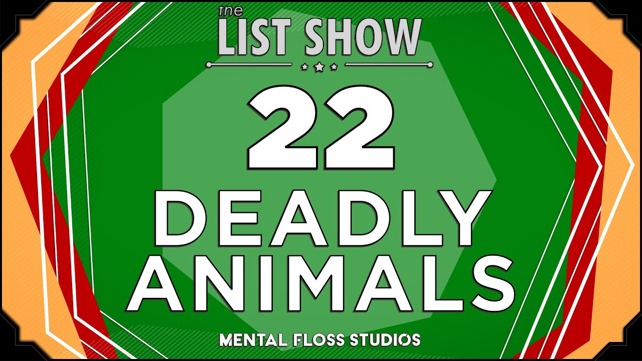 Video thumbnail for 22 Dangerous Animals You Don't Want To Mess With | Mental Floss