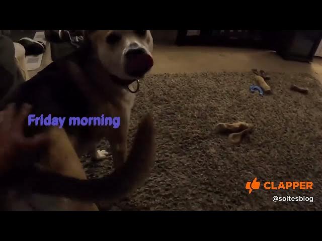 Video thumbnail for My baby