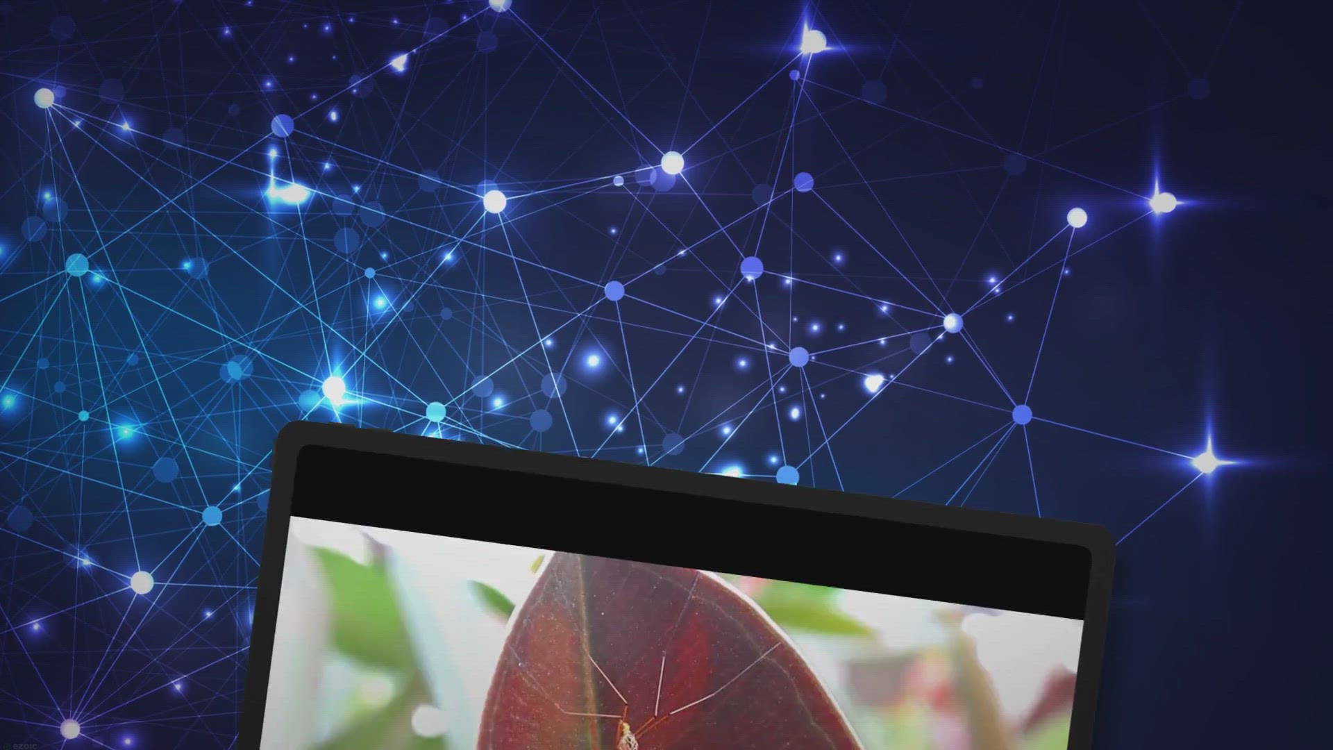 Video thumbnail for Say Goodbye to Pesky Mosquitoes While Camping: 6 Expert Tips!