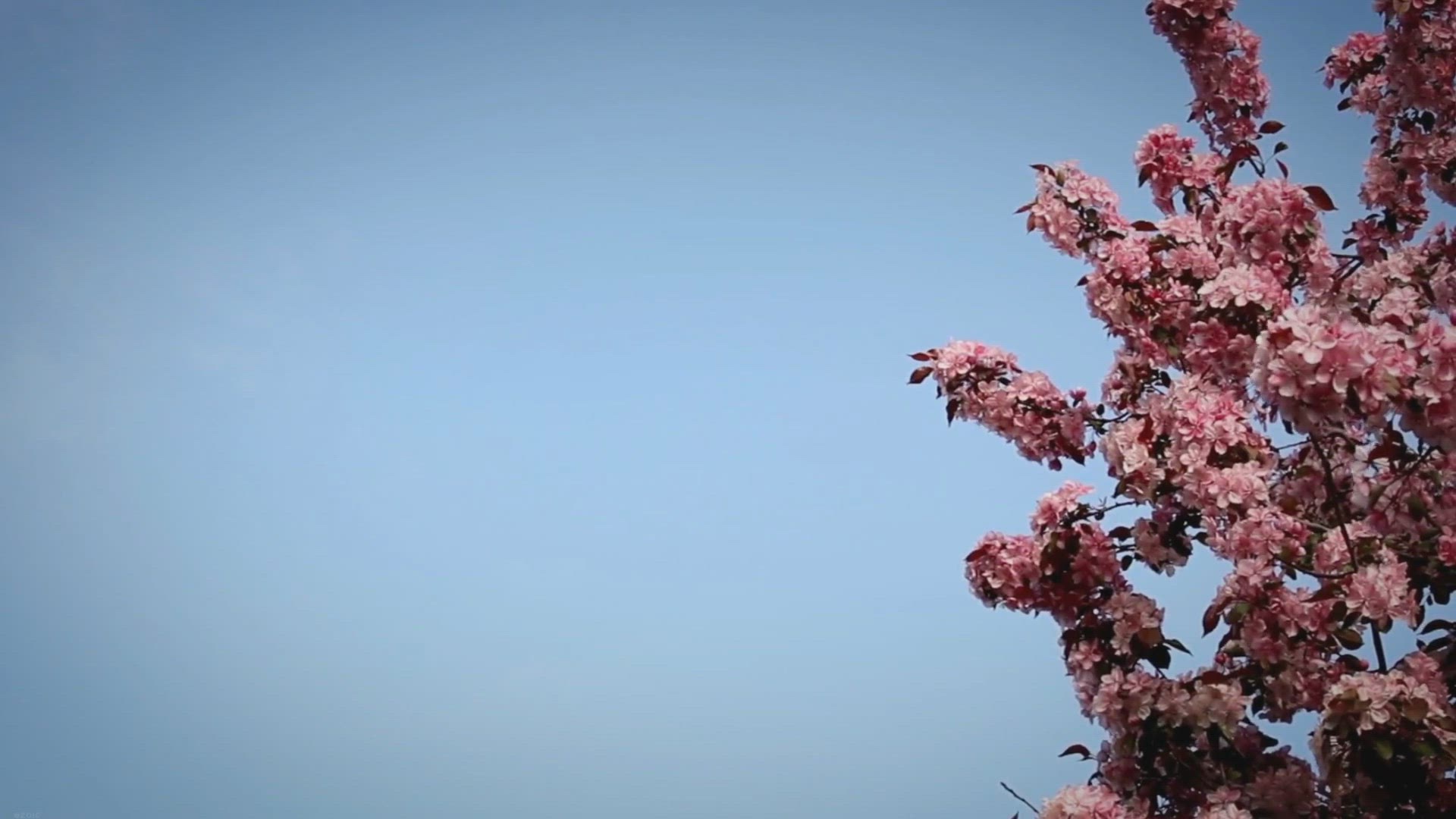 Video thumbnail for 6 Best Lighting Types For Outdoor Spaces (With Examples)