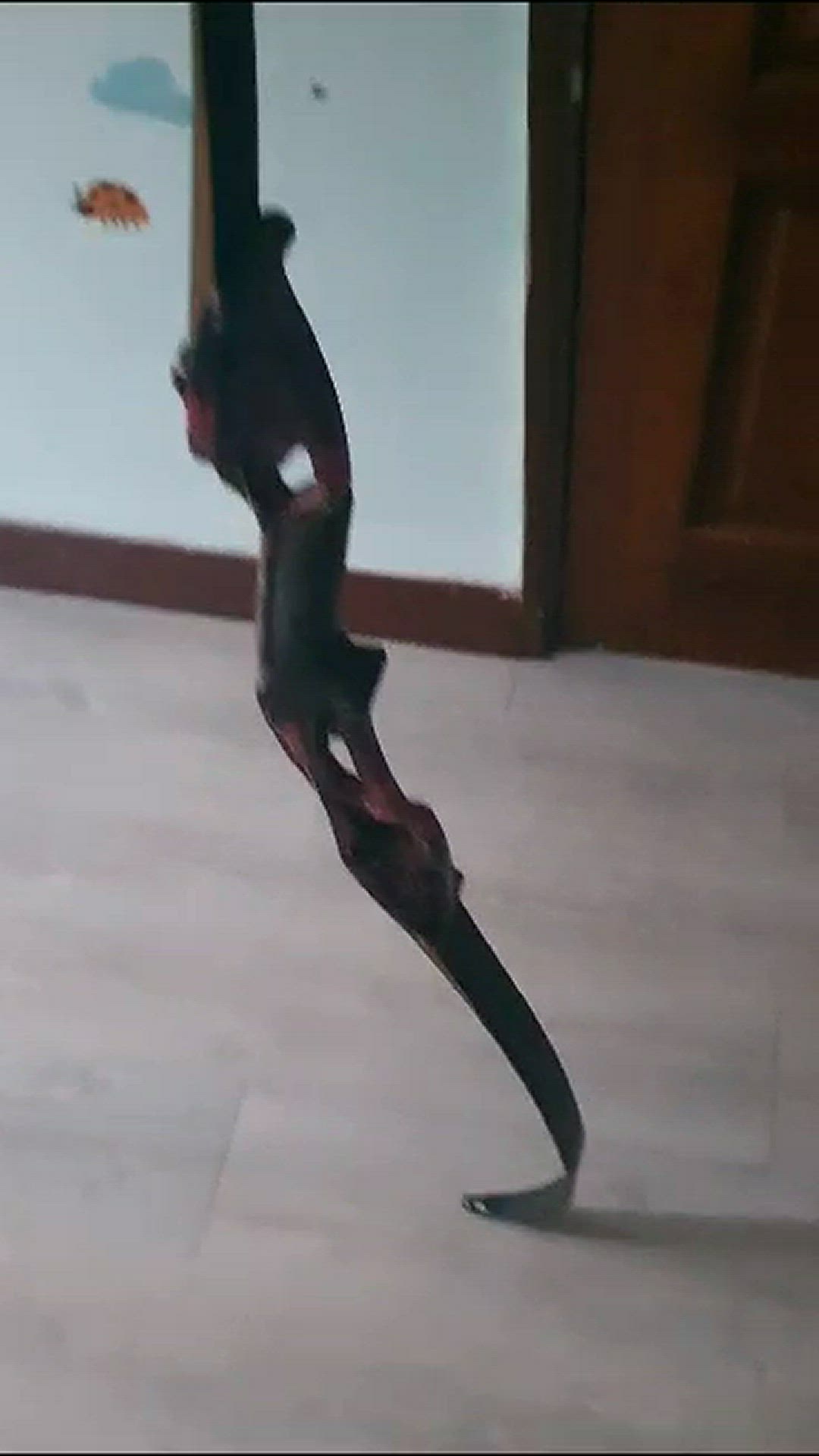 Video thumbnail for How does a Metal Recurve Bow Look like