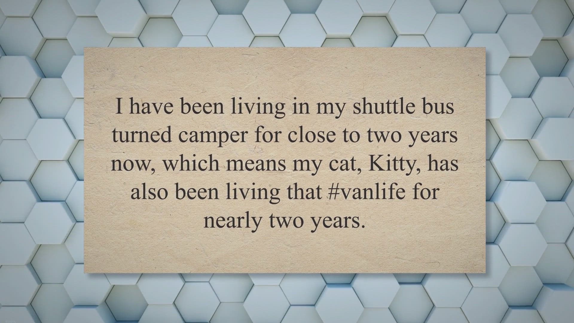 'Video thumbnail for Van Life with a Cat: Complete with all the Cute Cat Photos'
