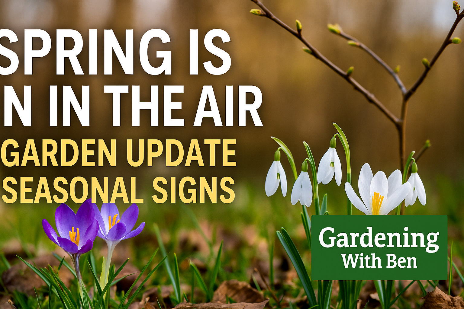 Video thumbnail for 🎥 ✅ Spring Gardening Guide 🌱🌸 | Allotment Update & Early Seasonal Signs 🌿✨