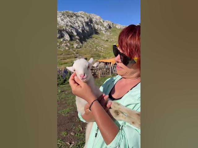 Video thumbnail for An The mother is looking for her little one #fold