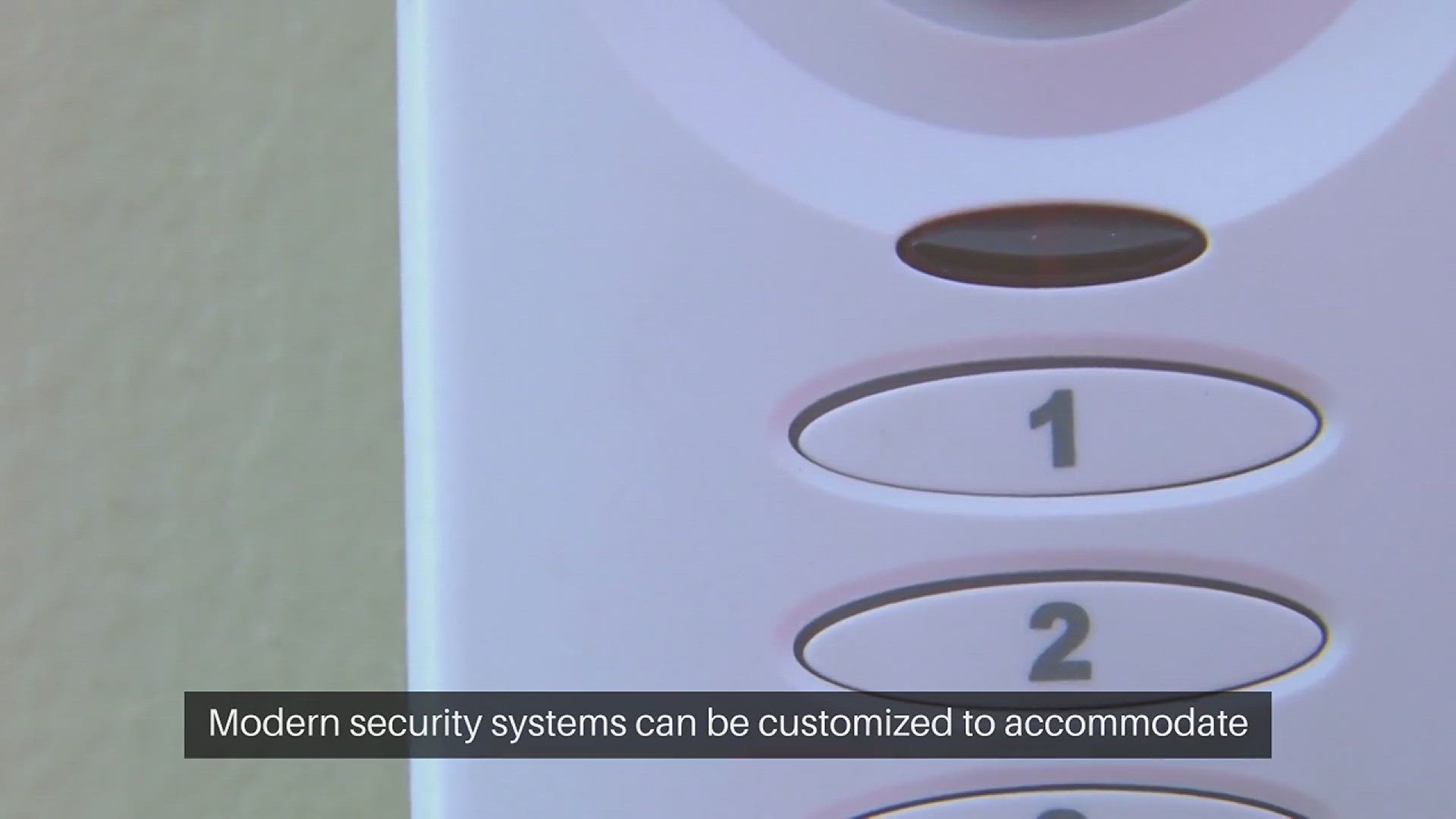 Video thumbnail for Pet Proofing Home Security Systems